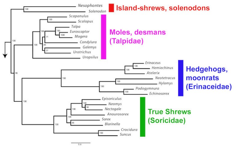 Brace_Main_Resubmit_MBE_Aug2016_final