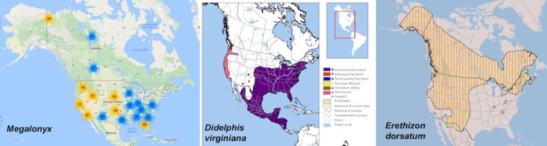 Distibution Maps Megalonyx.jpg