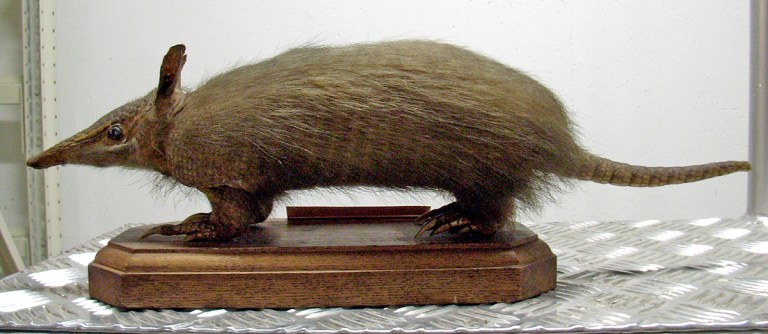 Figure 1 Mounted Specimen.jpg