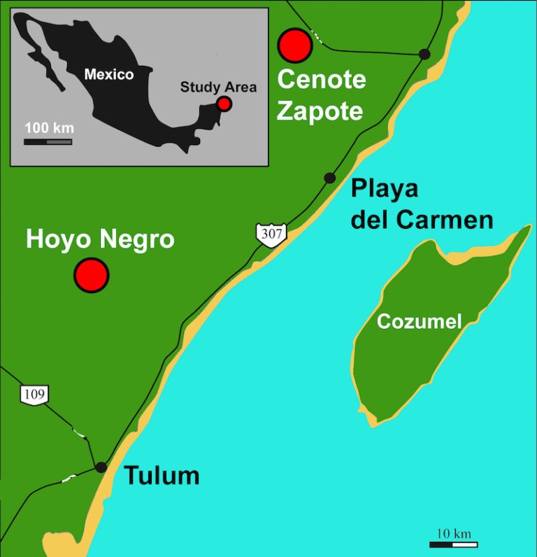 Figure 1 Cenote Map.jpg