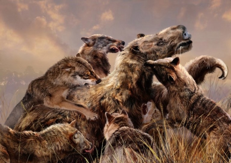 Glossotherium and Protocyon.jpg