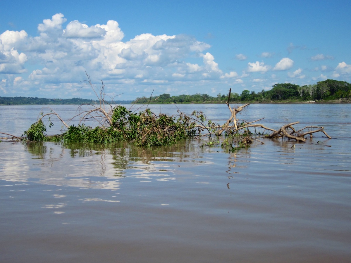 Natural Rafts Rafting? Really? – The Rafting Monkey